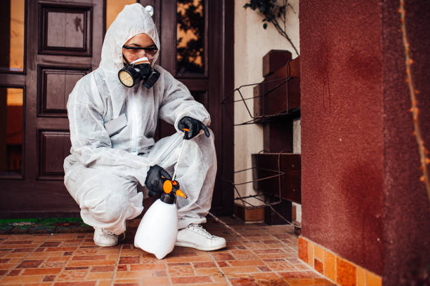 Attic and Crawl Space Rodent Treatment in Pittsboro