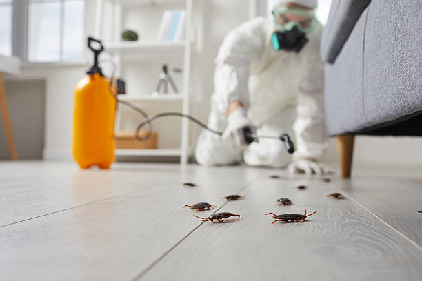 Commercial Rodent Management in Pittsboro